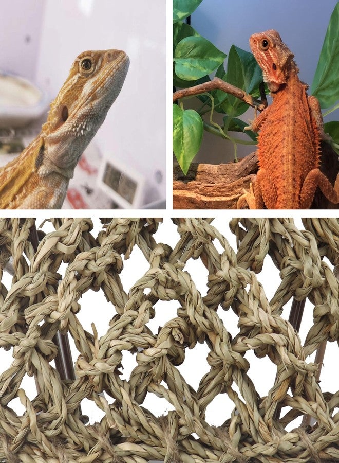 NANEEZOO Bearded Dragon Tank Accessories, Lizard Lounger for Rest, Reptile Hammock Bed with Natural Grass Fibers, Leopard Gecko Lounger Climbing Accessories for Habitats - Image 5